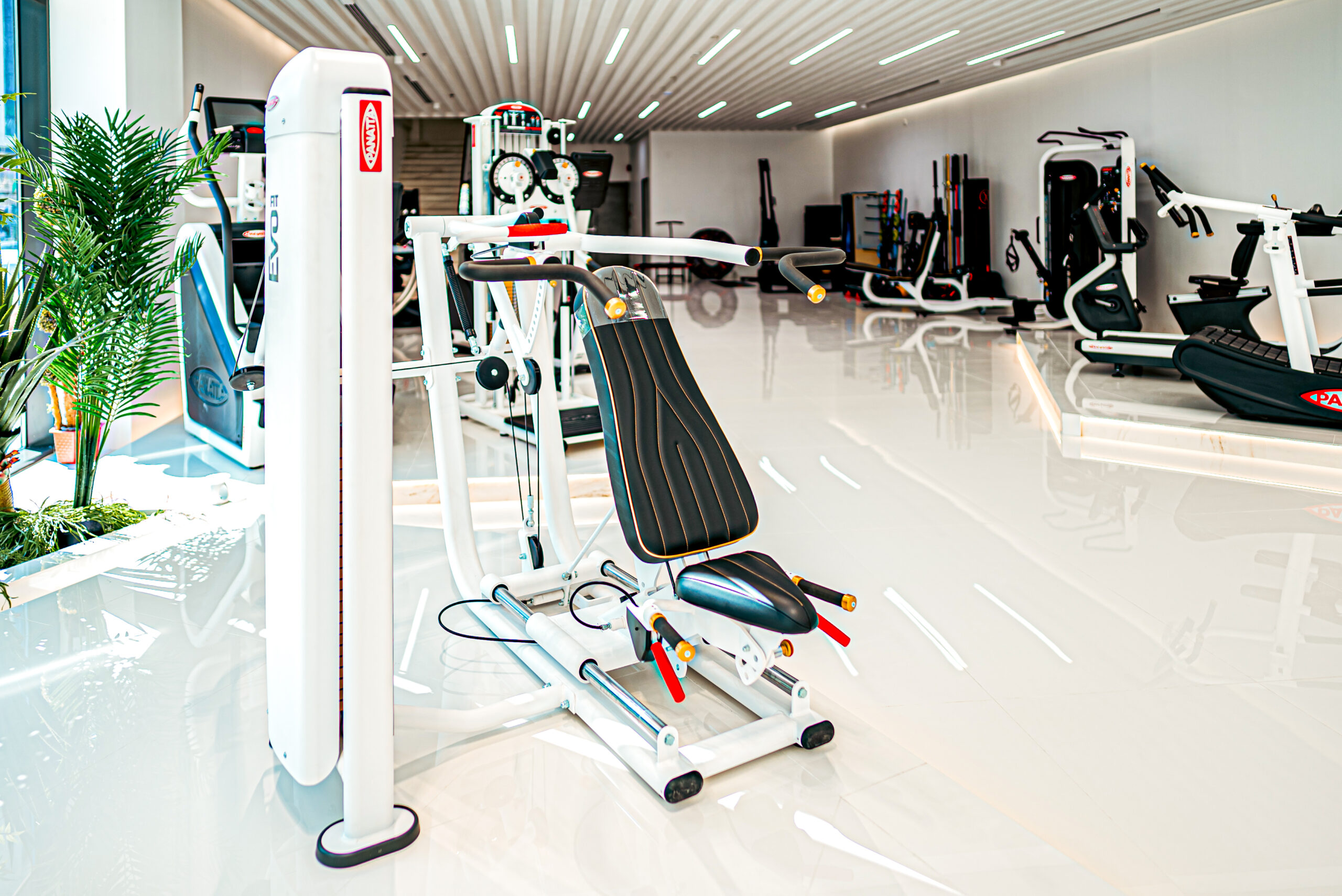 showroom 25